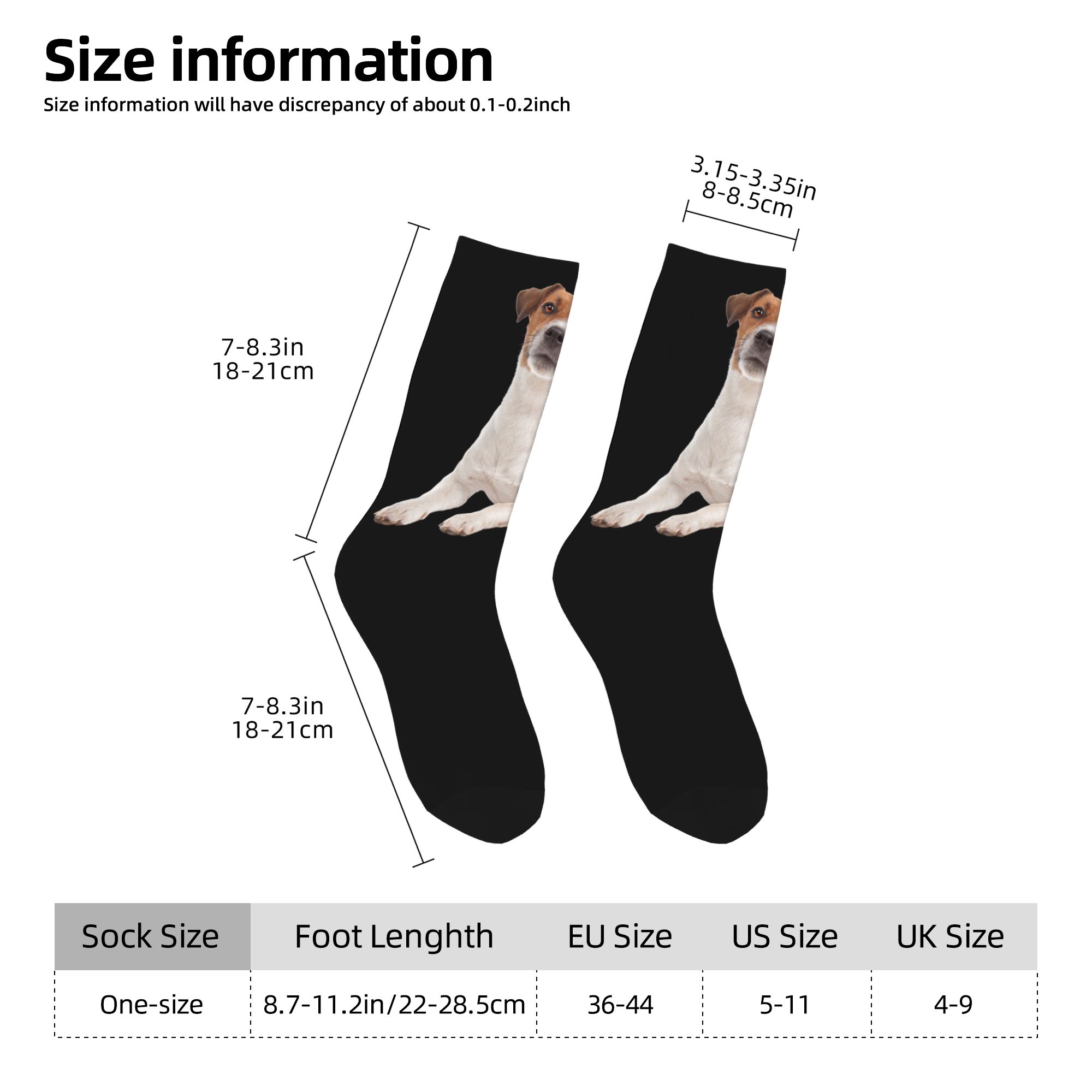 Custom Jack Russell Terrier Do - огляд і ціна Dress Sock Men
